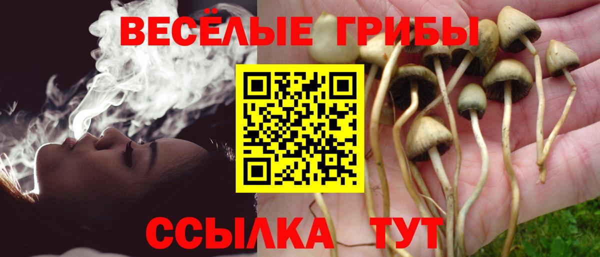 Псилоцибиновые грибы Magic Shrooms  Вход с VPN  Приморско-Ахтарск 