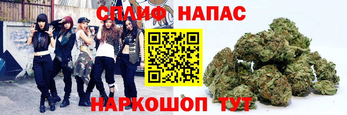 Каннабис White Widow Приморско-Ахтарск